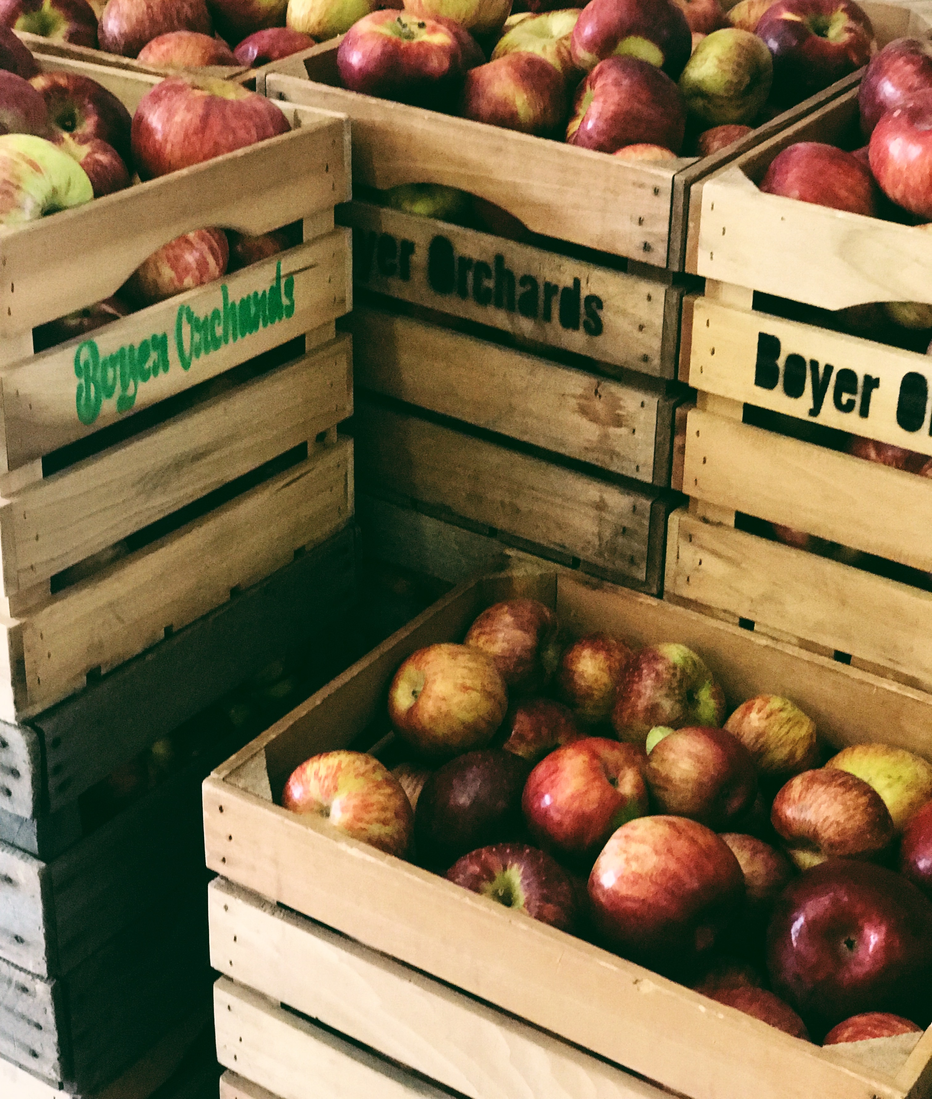 Fall Bucket List: Apple Orchards | Mommy & Me Outfit: Burgundy and Scarves