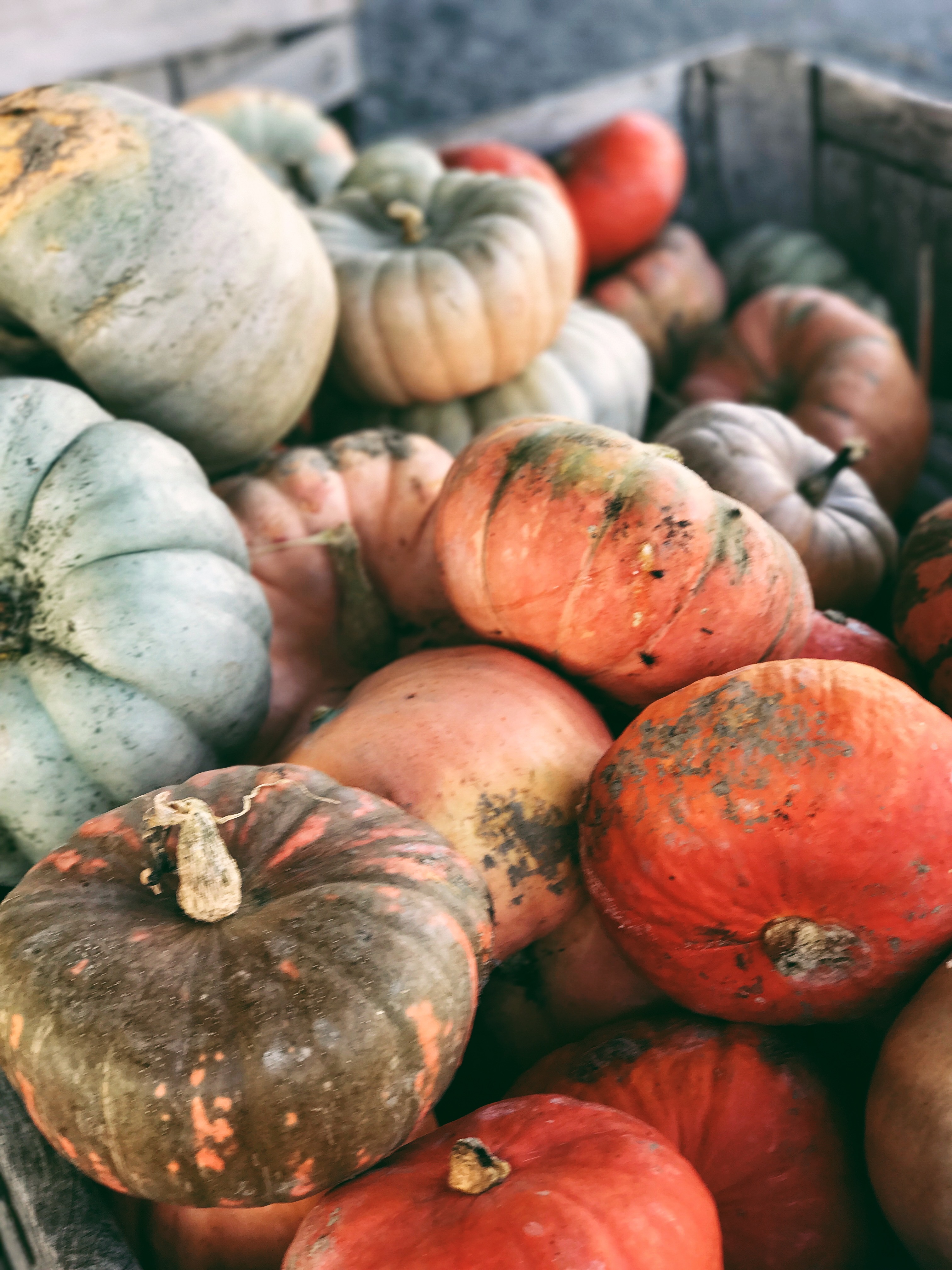 Fall Bucket List: Apple Orchards | Mommy & Me Outfit: Burgundy and Scarves