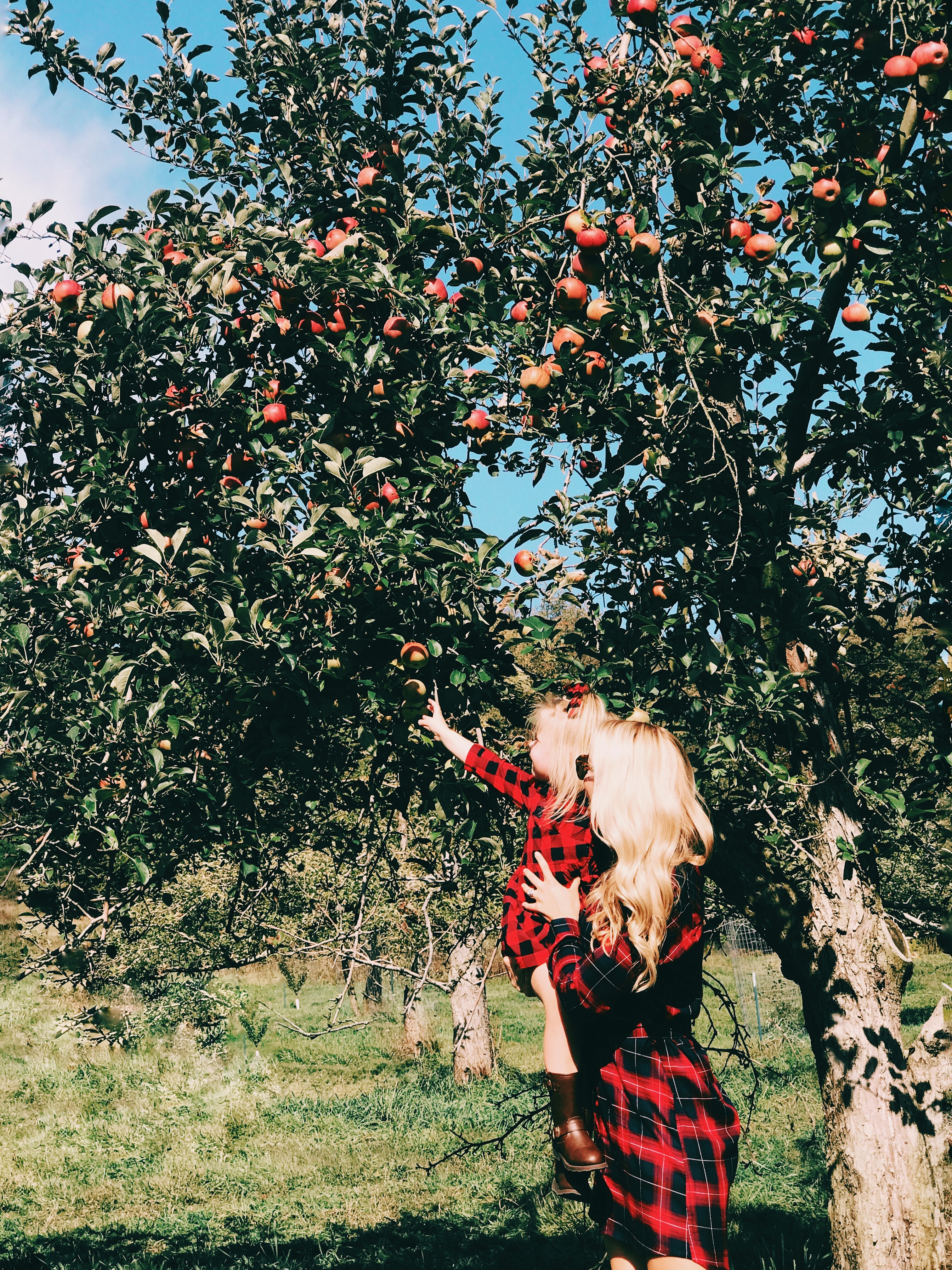 Family Fall Bucket List: Apple Picking | Mommy & Me Outfits