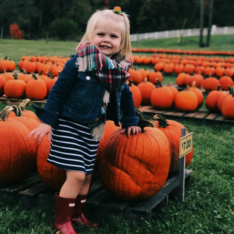 Family Fall Bucket List: Pumpkin Patch & Corn Maze