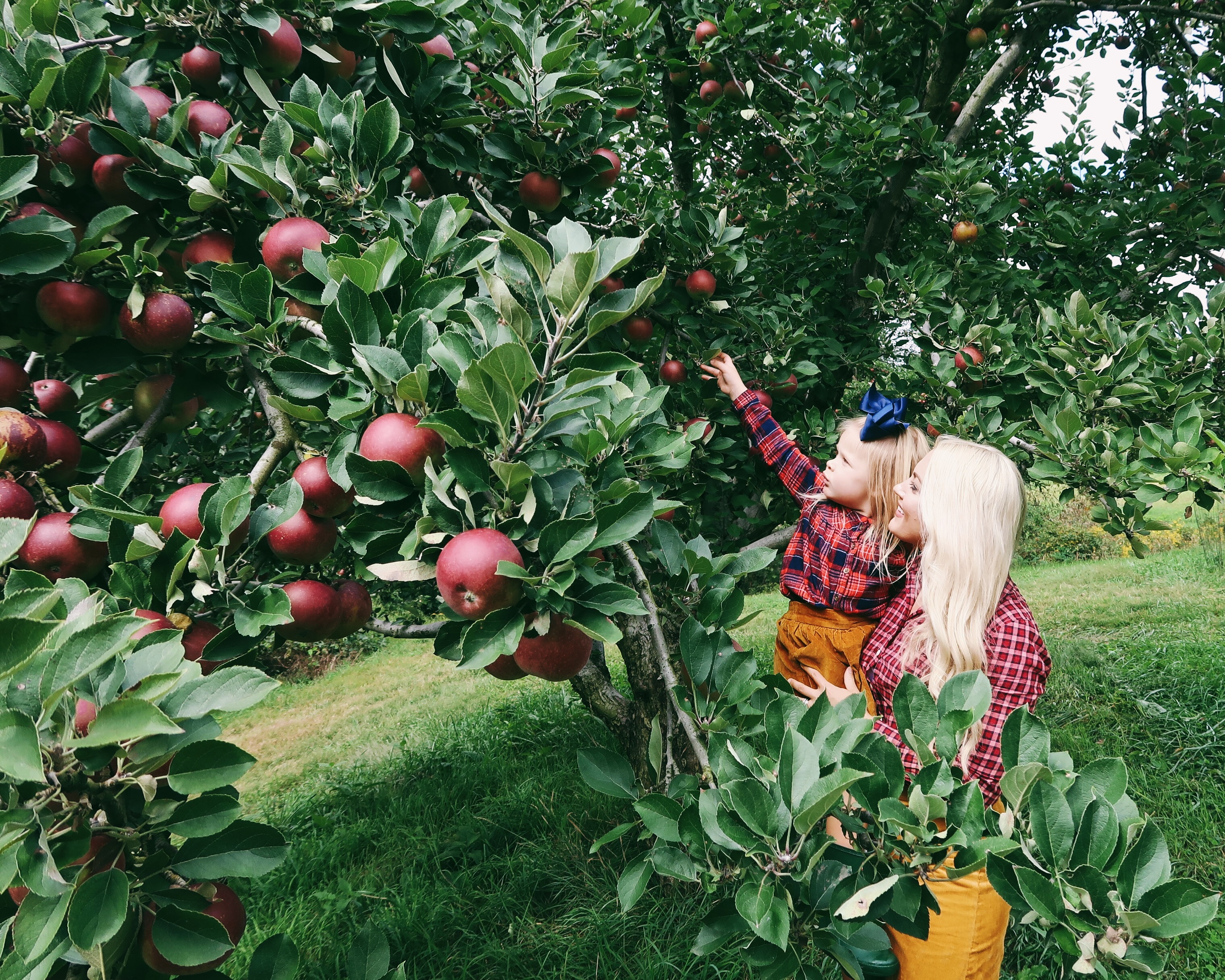 Apple Picking | Mommy and Me Fall Outfits | Corduroy Skirt, Hunter Boots, Plaid Top