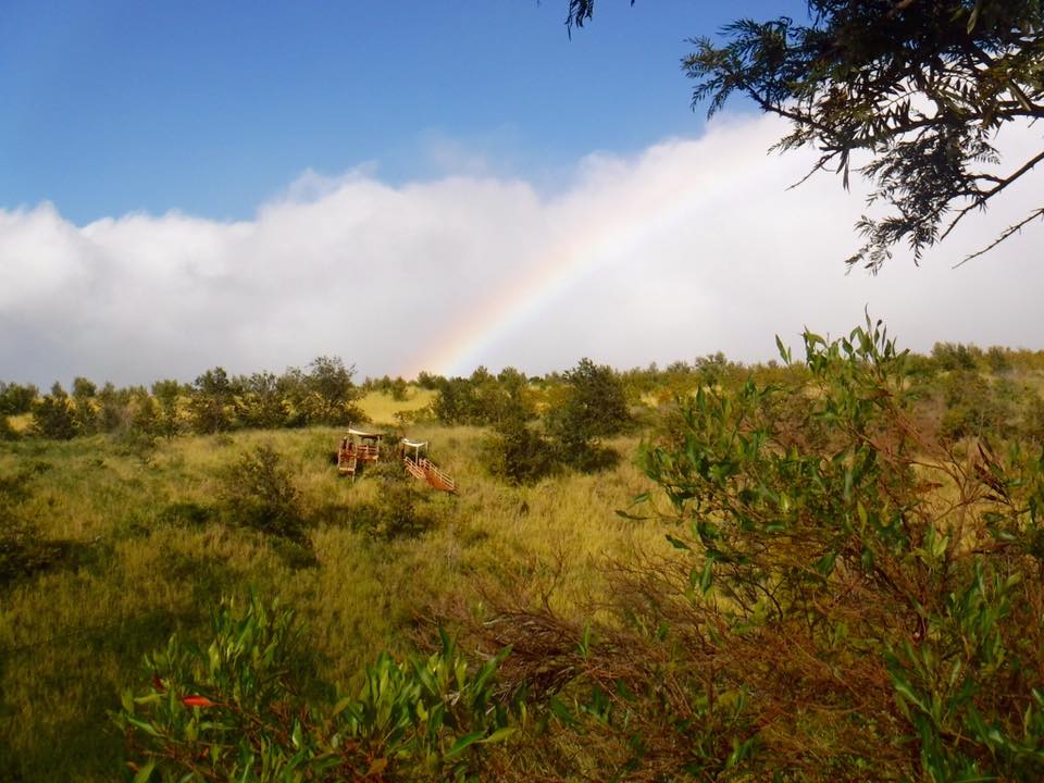 Maui Travel Guide | Best Excursions in Maui | Maui Snorkeling | Best Beaches in Maui | Maui Fruit Stand | Road to Hana Tips | Haleakala Tips | Where to Stay in Maui | Best Restaurants in Maui | Helicopter Tour Maui | Sail Tour Maui | Maui Vacation | Maui Travel Guide | #maui #mauivacation #hawaiitrip #mauitrip #mauitravelguide | www.styleherstrong.com