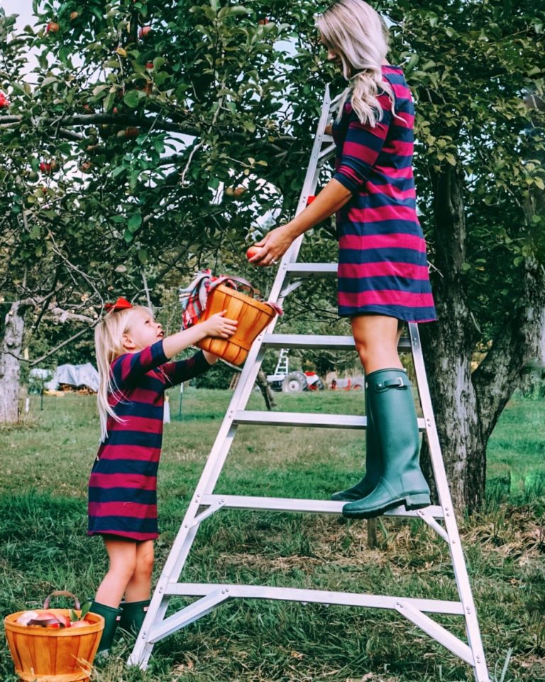 Apple Picking