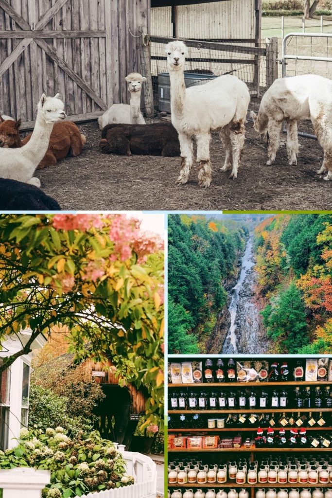 New England Fall Travel Guide | Woodstock Vermont Manchester Vermont Bretton Woods New Hampshire Mystic Connecticut Portland Maine Newport Rhode Island Fall Leaf Peeping Trip to New England #newenglandfall #falltrip #fallfoliage #leafpeeping