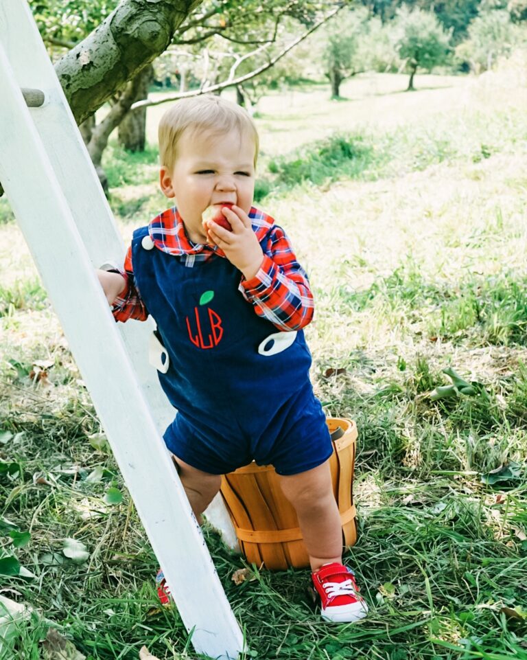 Apple Picking in the Fall