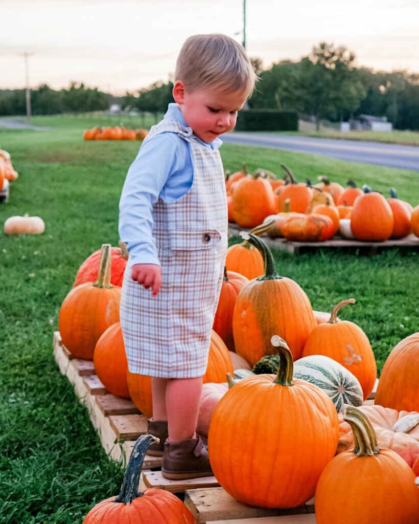 pumpkin patch outfit, pumpkin house, pumpkin picking, family fall photos