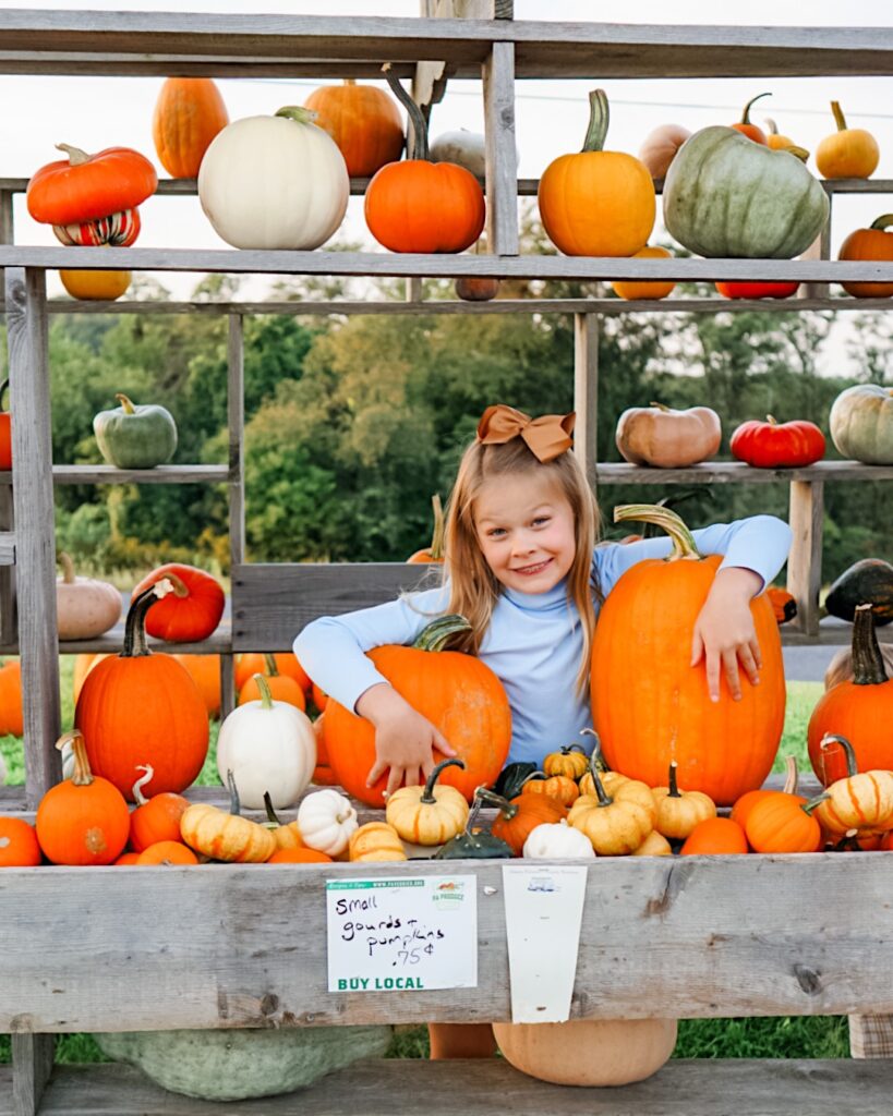 pumpkin patch outfit, pumpkin house, pumpkin picking, family fall photos